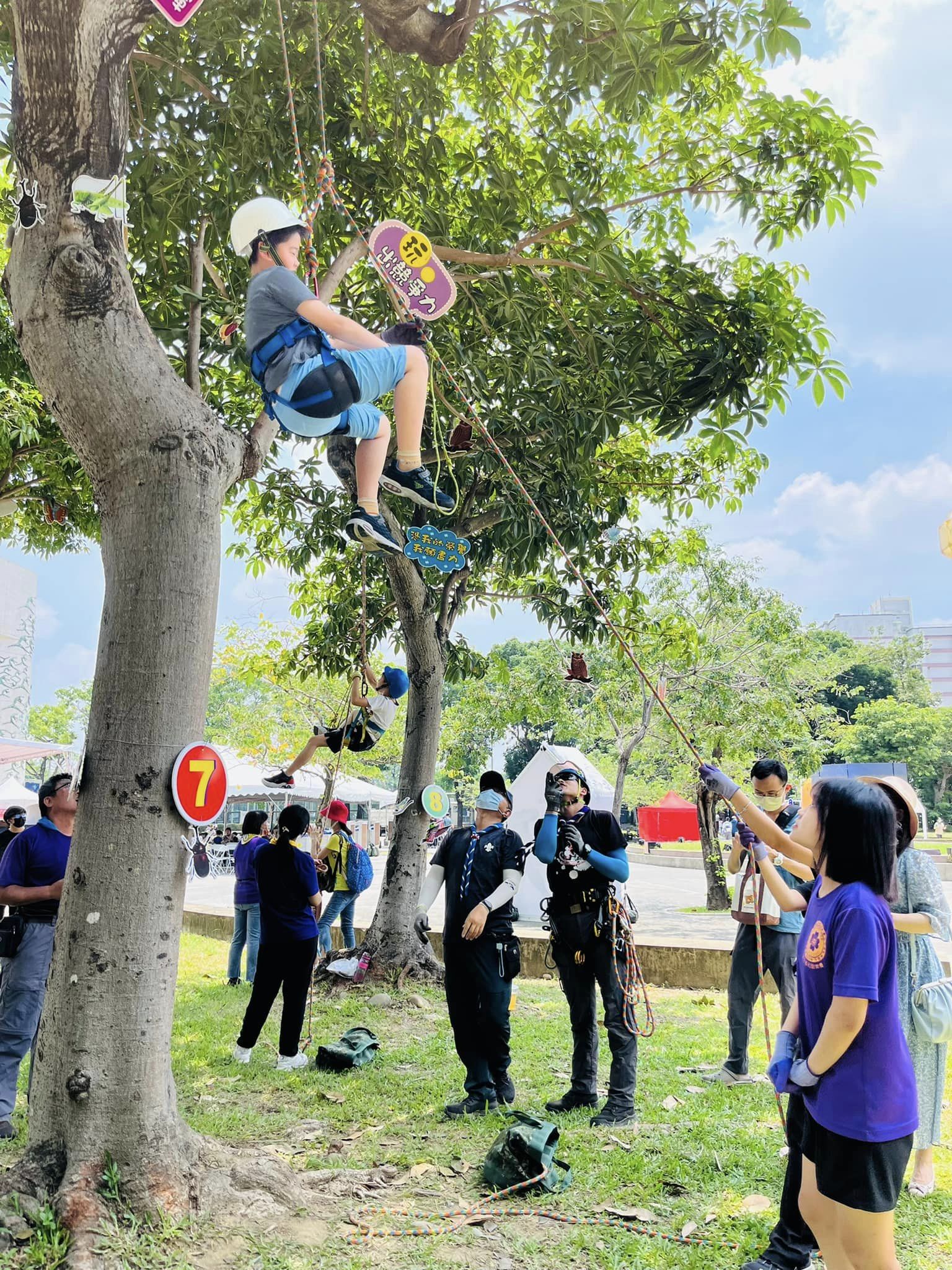 嘉市科學168 大自然中學科學 樹攀讓樂趣與學習共融 嘉市科學168 大自然中學科學 樹攀讓樂趣與學習共融