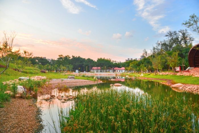 大湳森林公園開園 保留自然生態成為桃園新亮點
