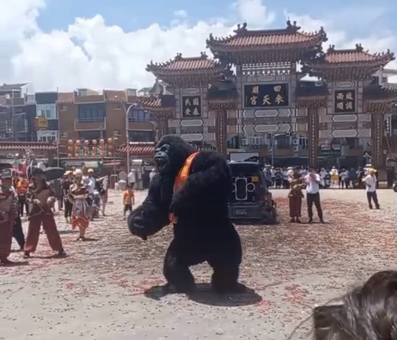 大猩猩陣頭超敬業 頂烈日高溫熱舞不怕中暑