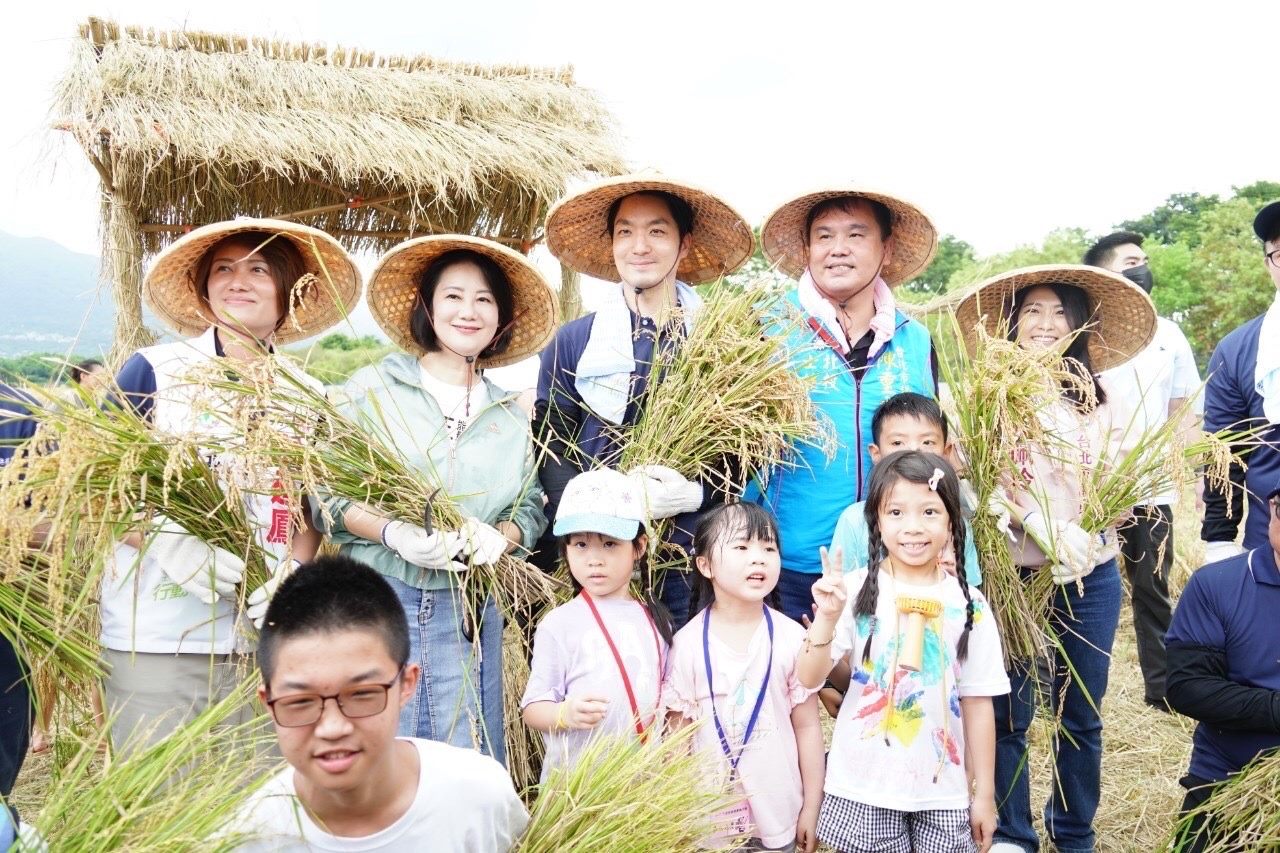 捷運線的夏日稻浪巡禮 蔣萬安北投體驗割稻樂趣 捷運線的夏日稻浪巡禮 蔣萬安北投體驗割稻樂趣