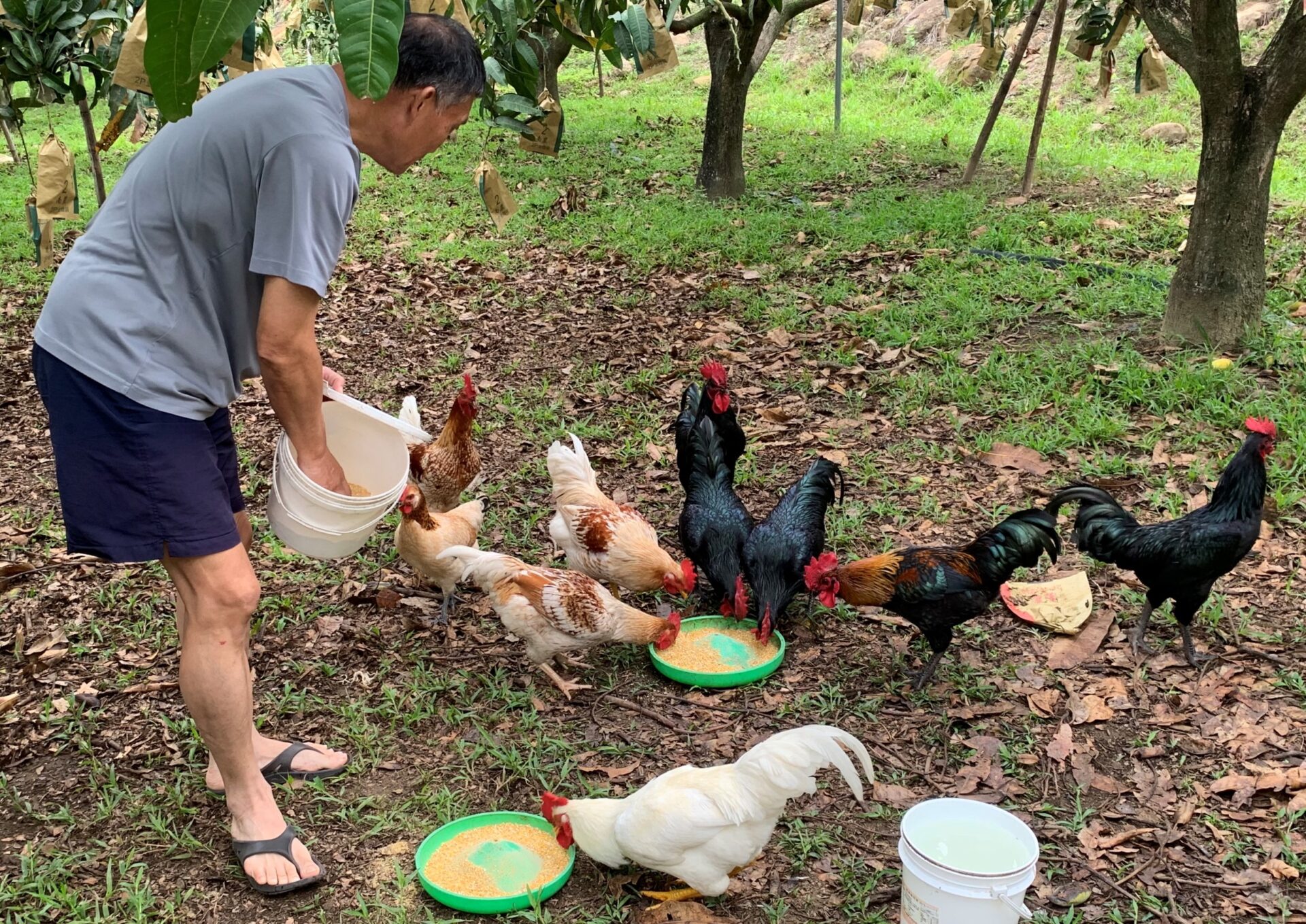 「牠」讓你癢到花容失色 千萬小心衣物夾禽蟎入境 「牠」讓你癢到花容失色 千萬小心衣物夾禽蟎入境