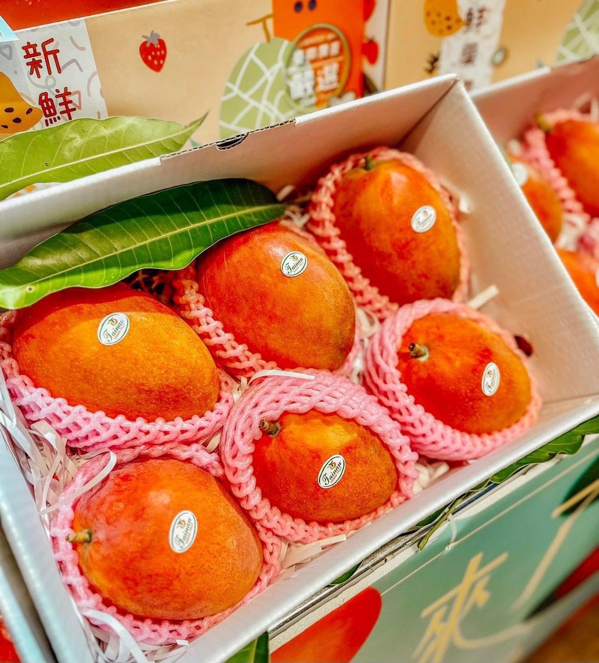 臺南精品芒果 7/22新竹大遠百快閃開賣 臺南精品芒果 7/22新竹大遠百快閃開賣