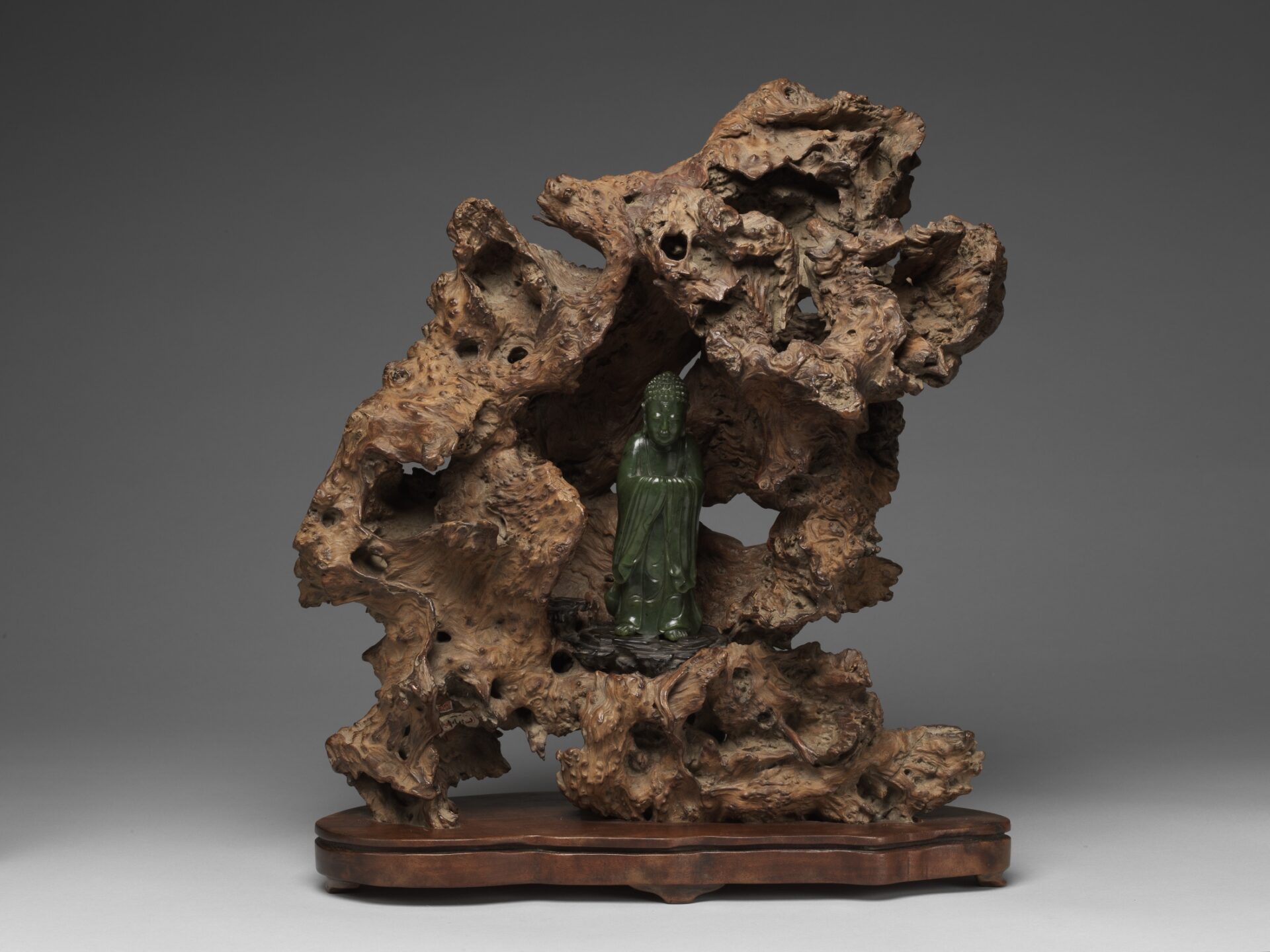 故宮南院人氣國寶「古木奇姿」　邀觀眾品味另類美學