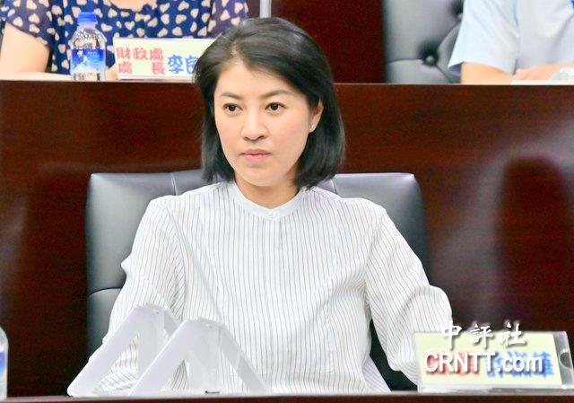 陳建仁比較高雄南投災情 許淑華嗆什麼心態 陳建仁比較高雄南投災情 許淑華嗆什麼心態