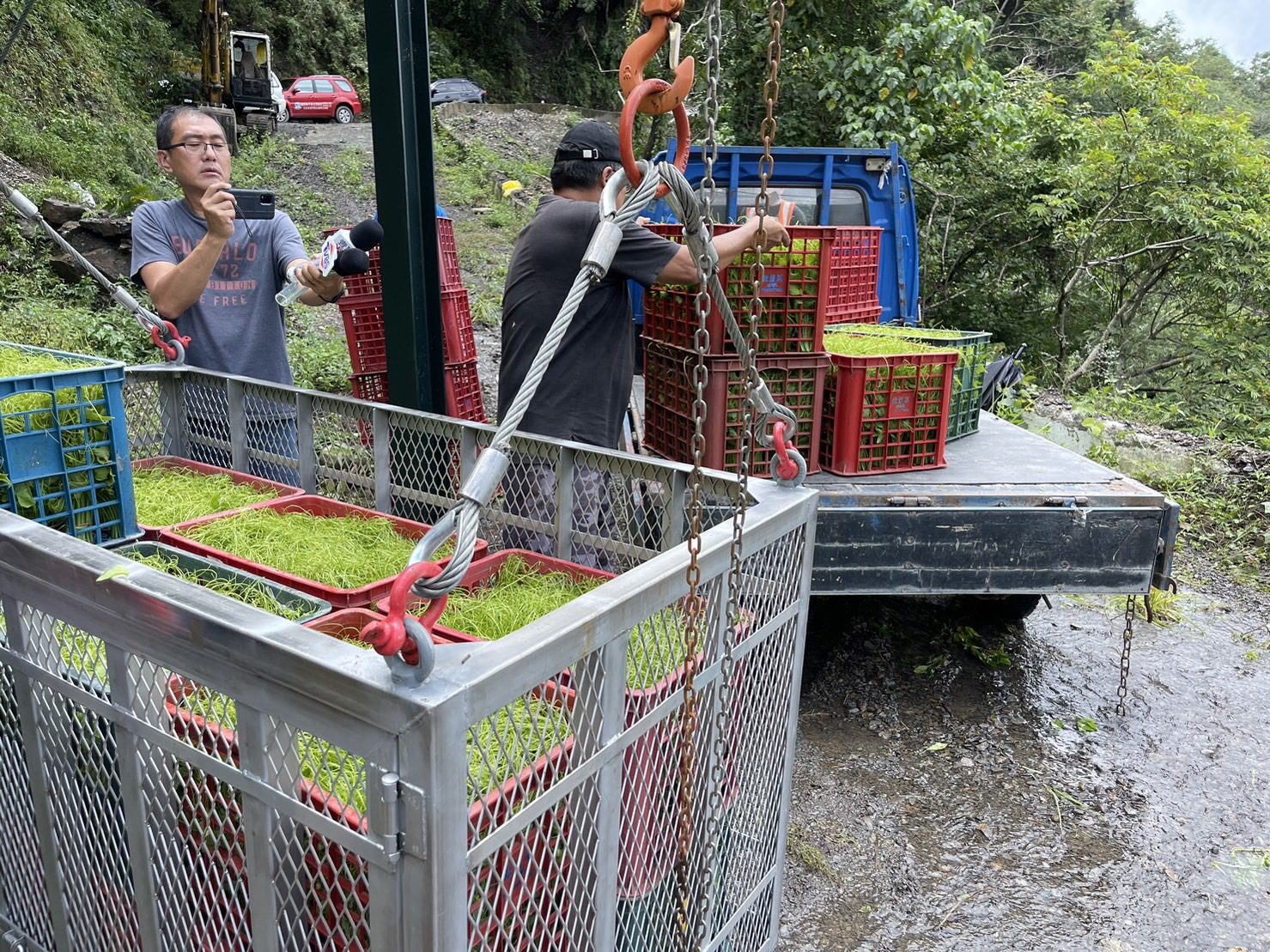 明霸克露橋交通受阻 桃源區流籠首次啟動運送龍鬚菜成功 農民：大幅減輕損失