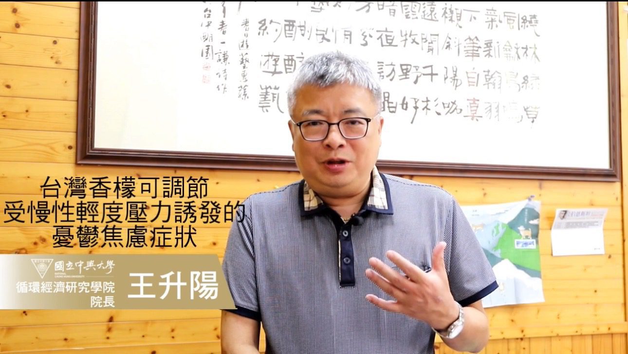 興大創新突破：台灣香檬調節腸-腦軸線　緩解壓力引發憂鬱焦慮