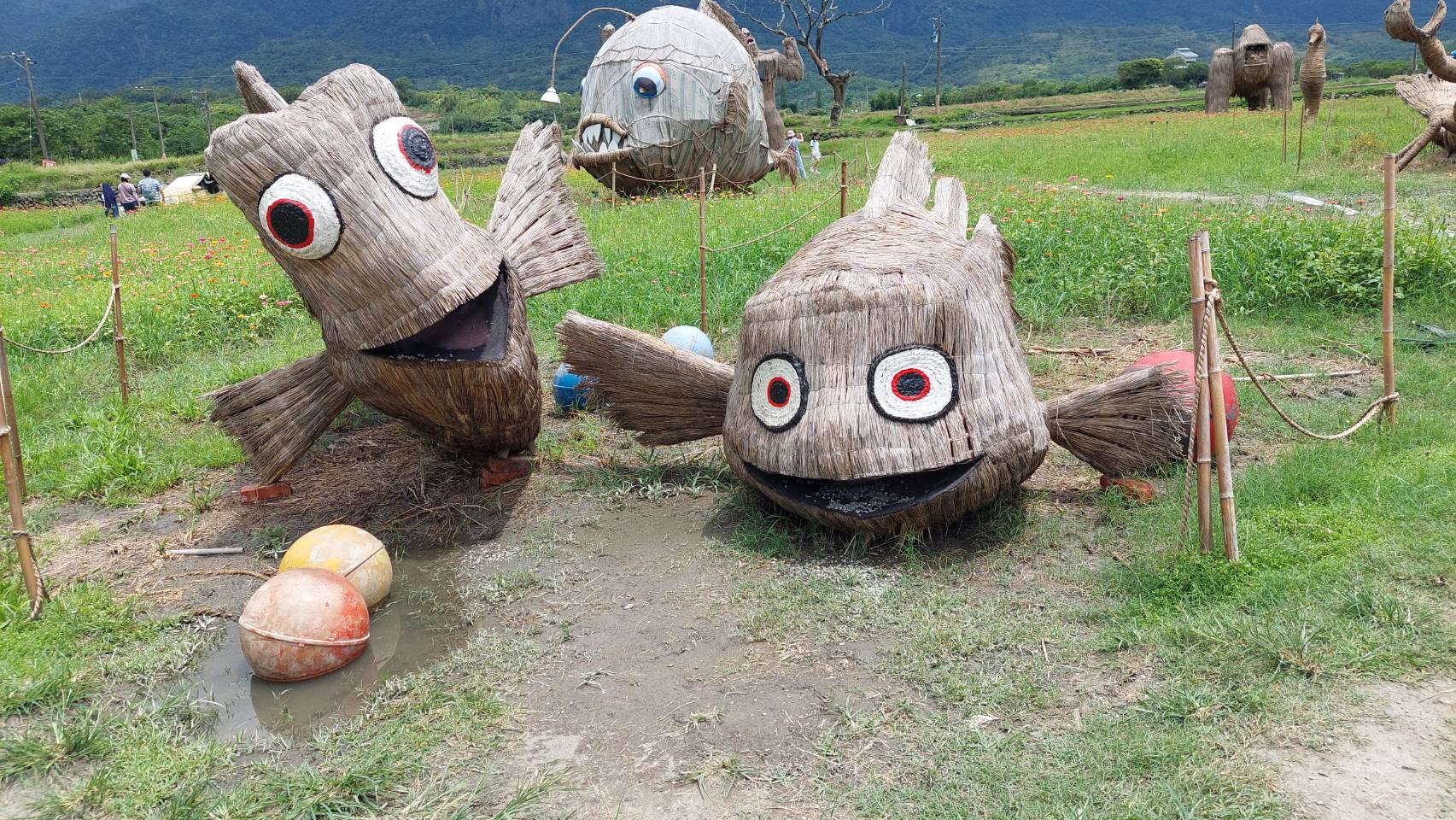 富里農會創辦的稻草藝術季，今年已經邁入第四屆，除了各種造型的猩猩(上圖)，還有小丑魚等海底世界生物(下圖)，是富里最知名的打卡勝地。(圖/張欽攝)