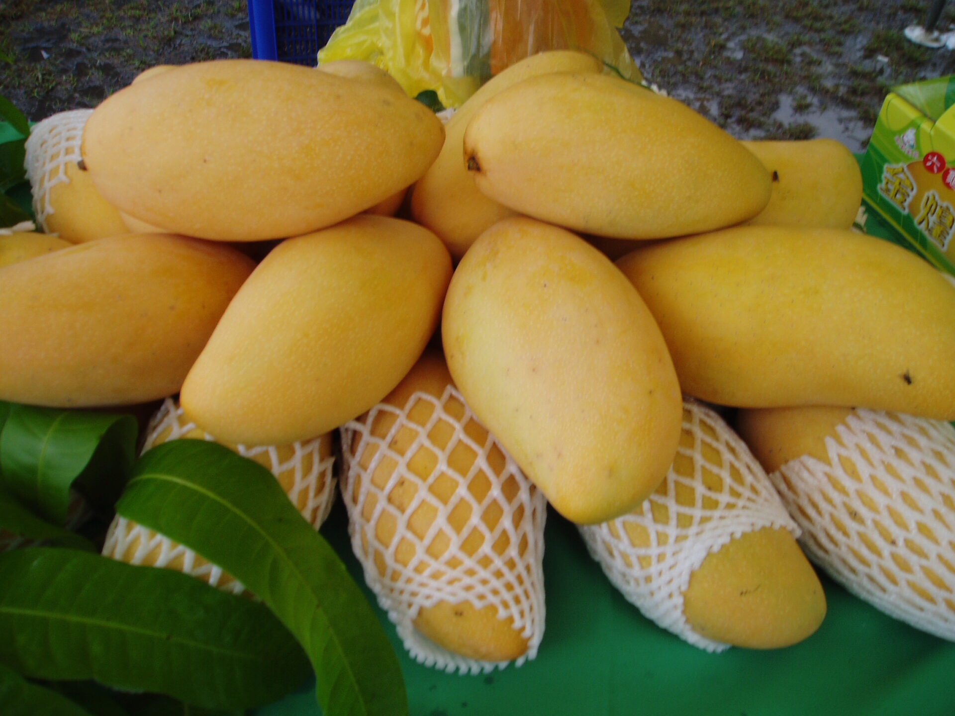 高雄明霸克露橋鋼便橋沖損「高雄首選電商平台 」協助小農公益推廣預購金煌芒果乾