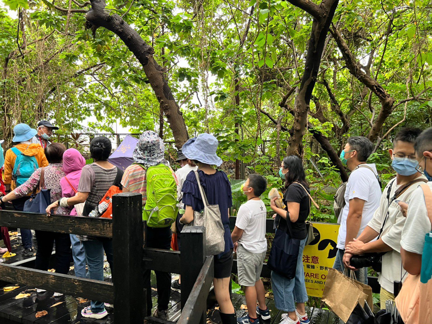 參加遊覽走讀的民眾，可在寶藏巖小觀音山木棧道享受森呼吸。(圖／北市台大公館商圈發展促進會提供)