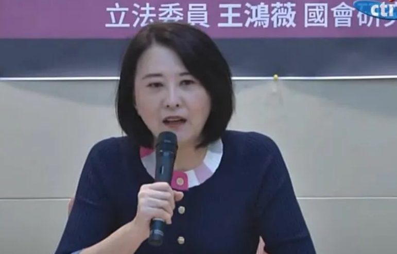 便宜了民進黨!王鴻薇喊話藍白合:別變成藍白拖、藍白吵 便宜了民進黨!王鴻薇喊話藍白合:別變成藍白拖、藍白吵