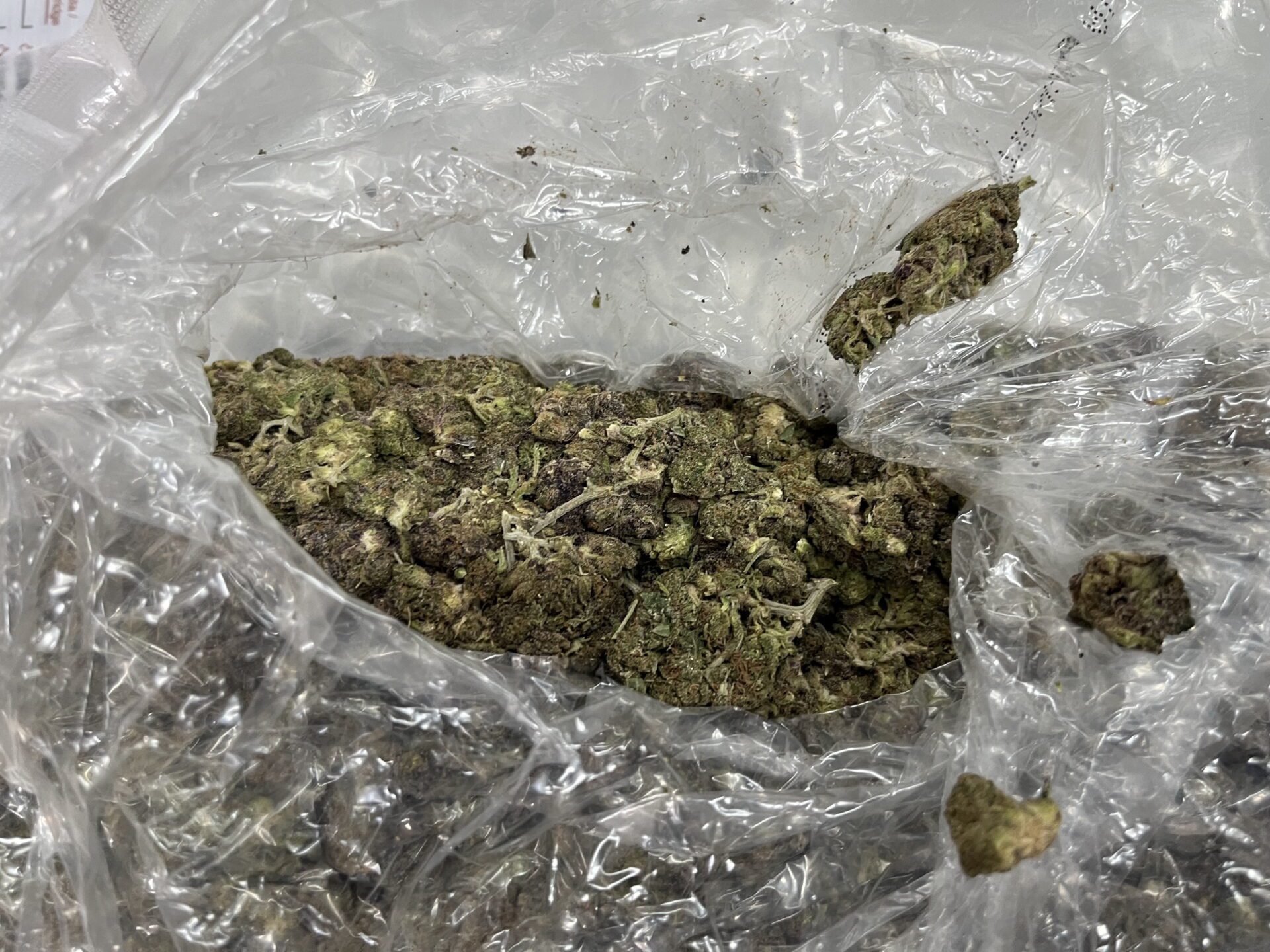 遭警方與海關聯手查扣的第二級毒品大麻。(圖／刑事警察局提供)