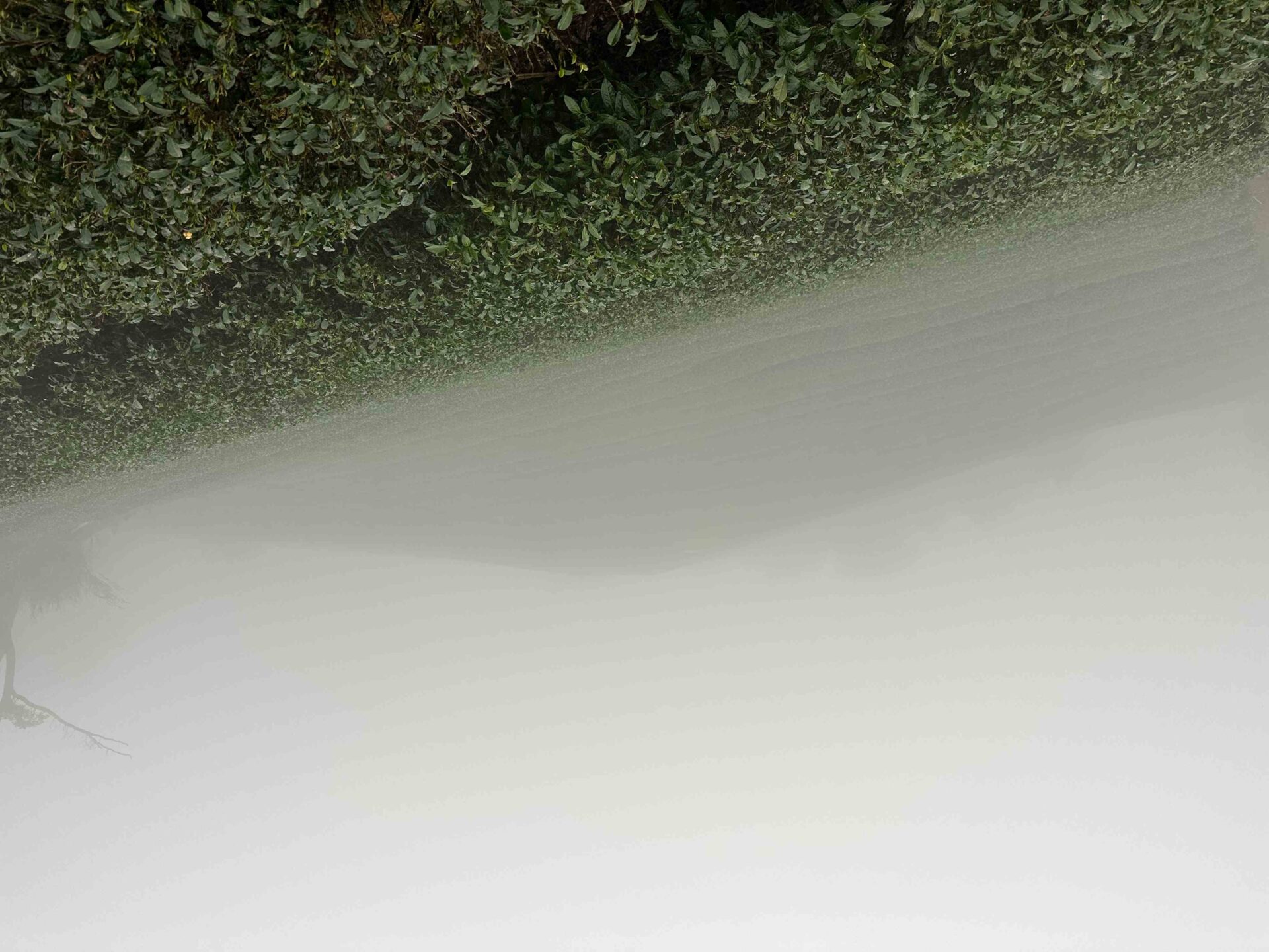 寒流發威　新北市農業局提醒農友防寒保暖