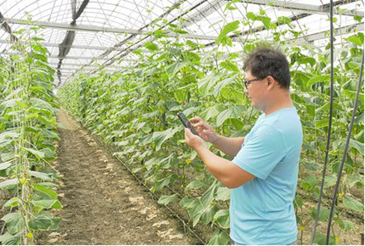 智慧農業解方大募集 公私協力一起來！