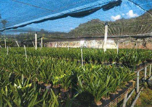 小心使用農地 填土違建不應當 台中市政府農業局關心您 小心使用農地 填土違建不應當 台中市政府農業局關心您