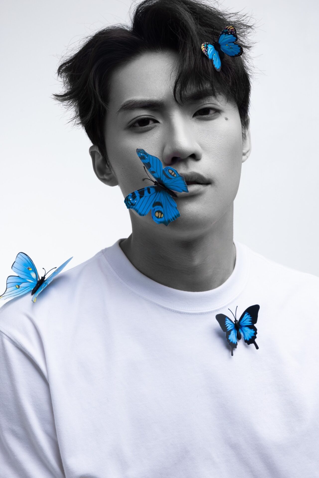 姚冠宇主視覺黑白強烈兩隻藍蝴蝶 比喻梁祝般的愛情