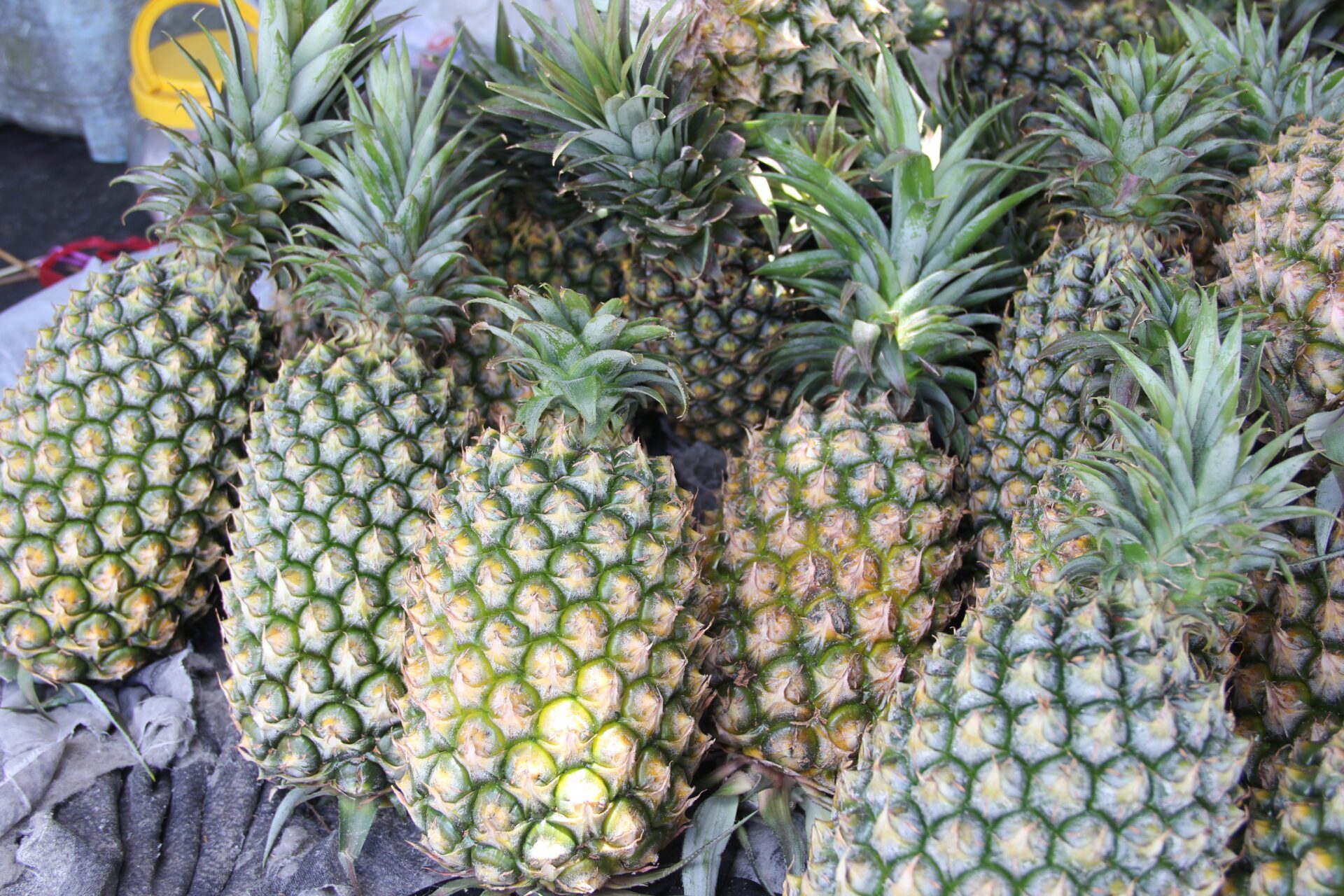 今夏最強！高雄鳳梨慶典  上架三大通路