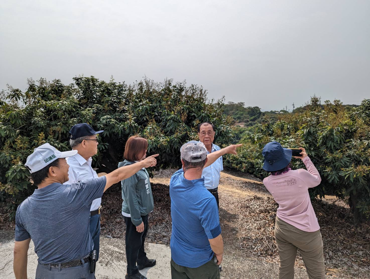 高溫乾旱致災、農業局爭取救助 減輕農民損失