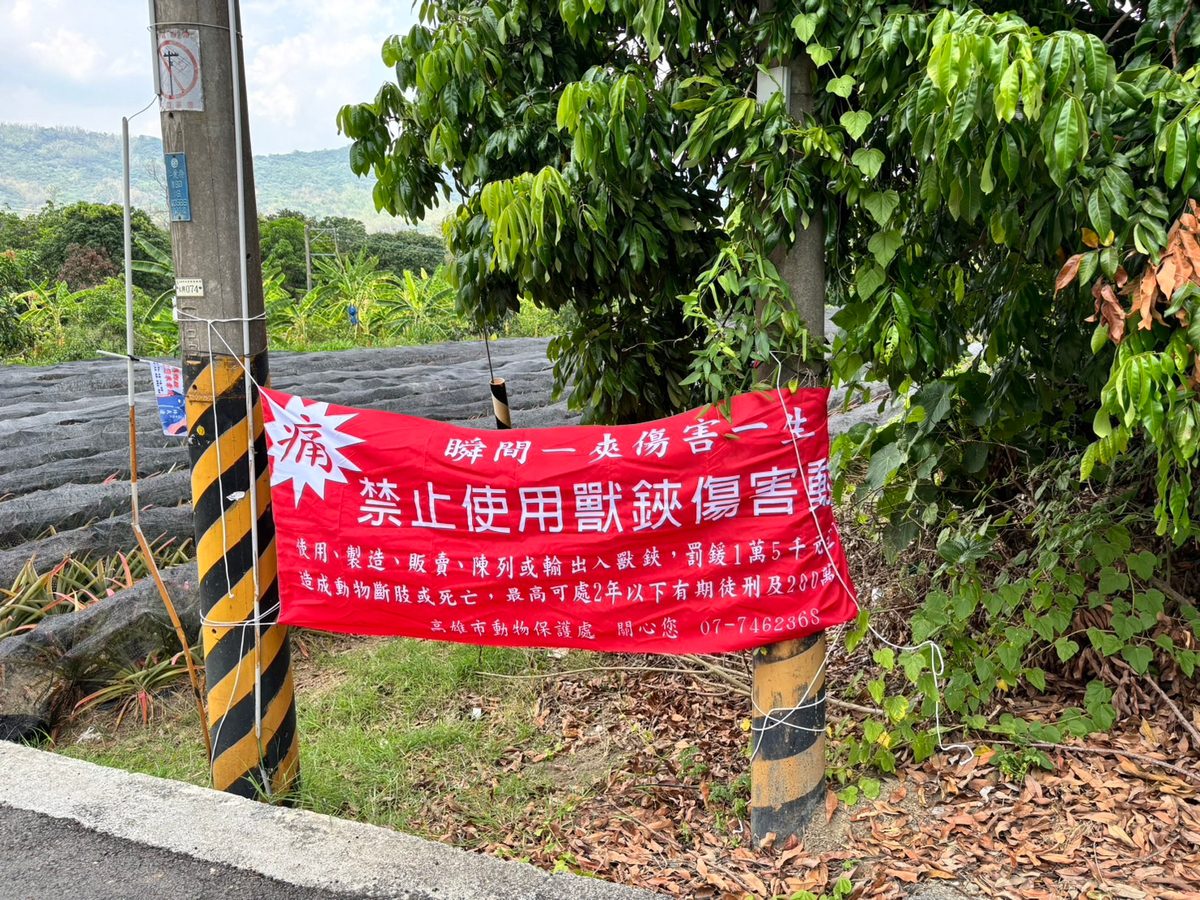 私設使用捕獸夾、山豬吊　高雄動保處宣導查獲將受重罰
