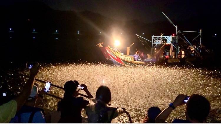 百年傳統漁法「蹦火仔」加入傳承新血　推出海上蹦火遊程　歡迎民眾體驗