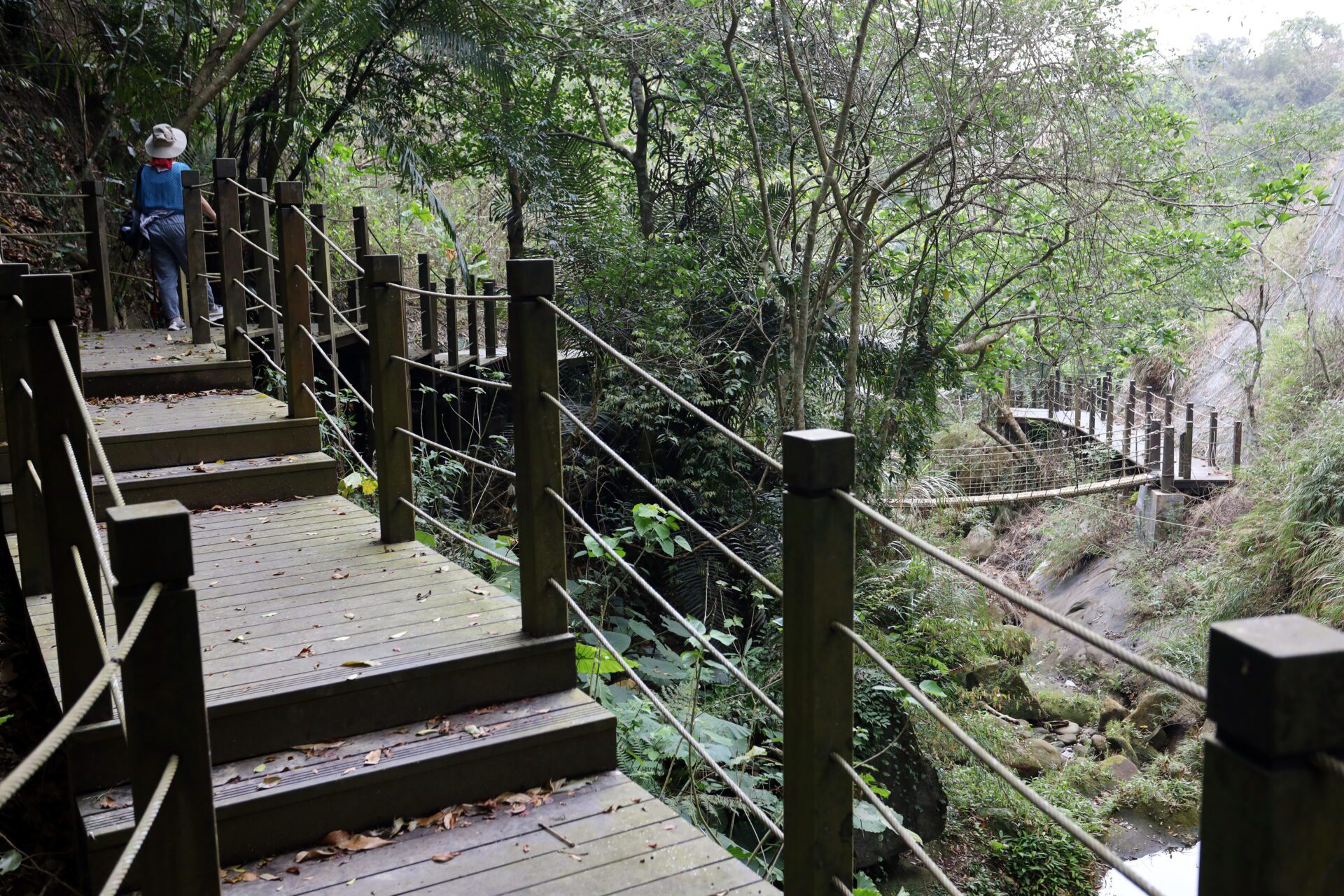 步道安全舒適再升級! 中市太平蝙蝠洞步道災害修復完工開放 步道安全舒適再升級! 中市太平蝙蝠洞步道災害修復完工開放