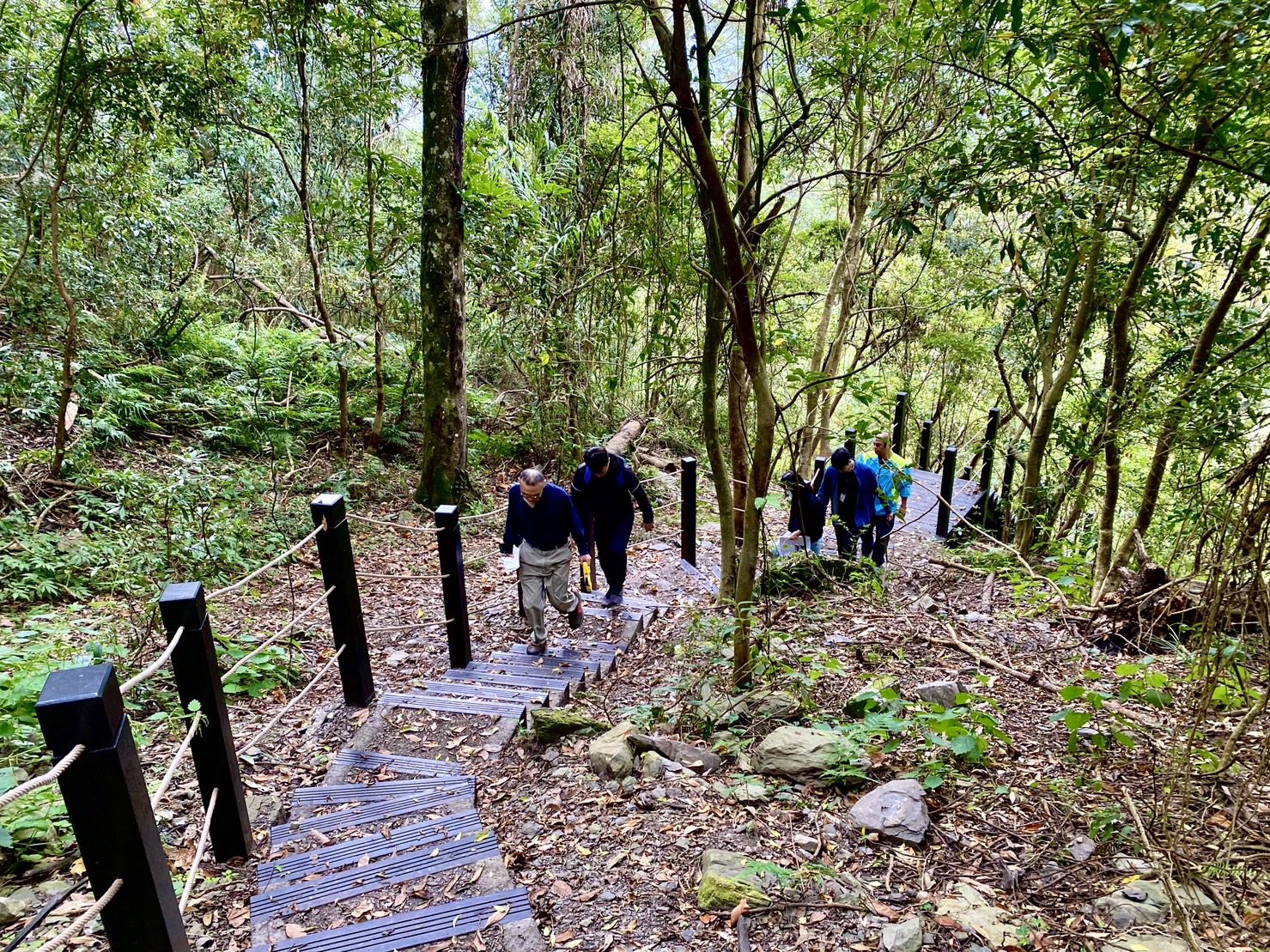 步道分級安心遊　中市府打造優質登山健行環境