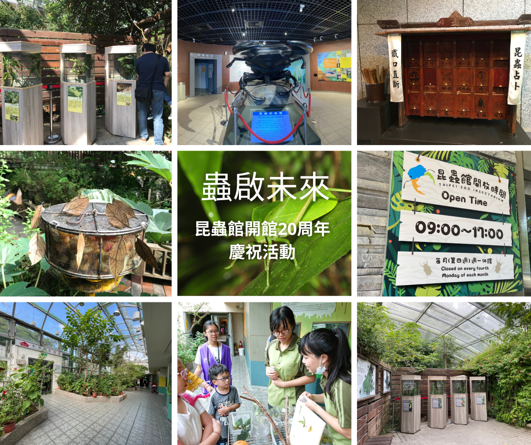 北市動物園迎昆蟲館20周年　辦嘉年華邀大家來找蟲吃蟲蛋糕