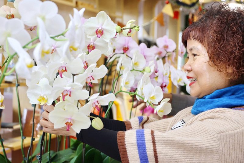 「嘉義大學學生安心就學獎助學金」募款助經濟不利學生成長圓夢 捐百元嘉大送您蝴蝶蘭 「嘉義大學學生安心就學獎助學金」募款助經濟不利學生成長圓夢 捐百元嘉大送您蝴蝶蘭