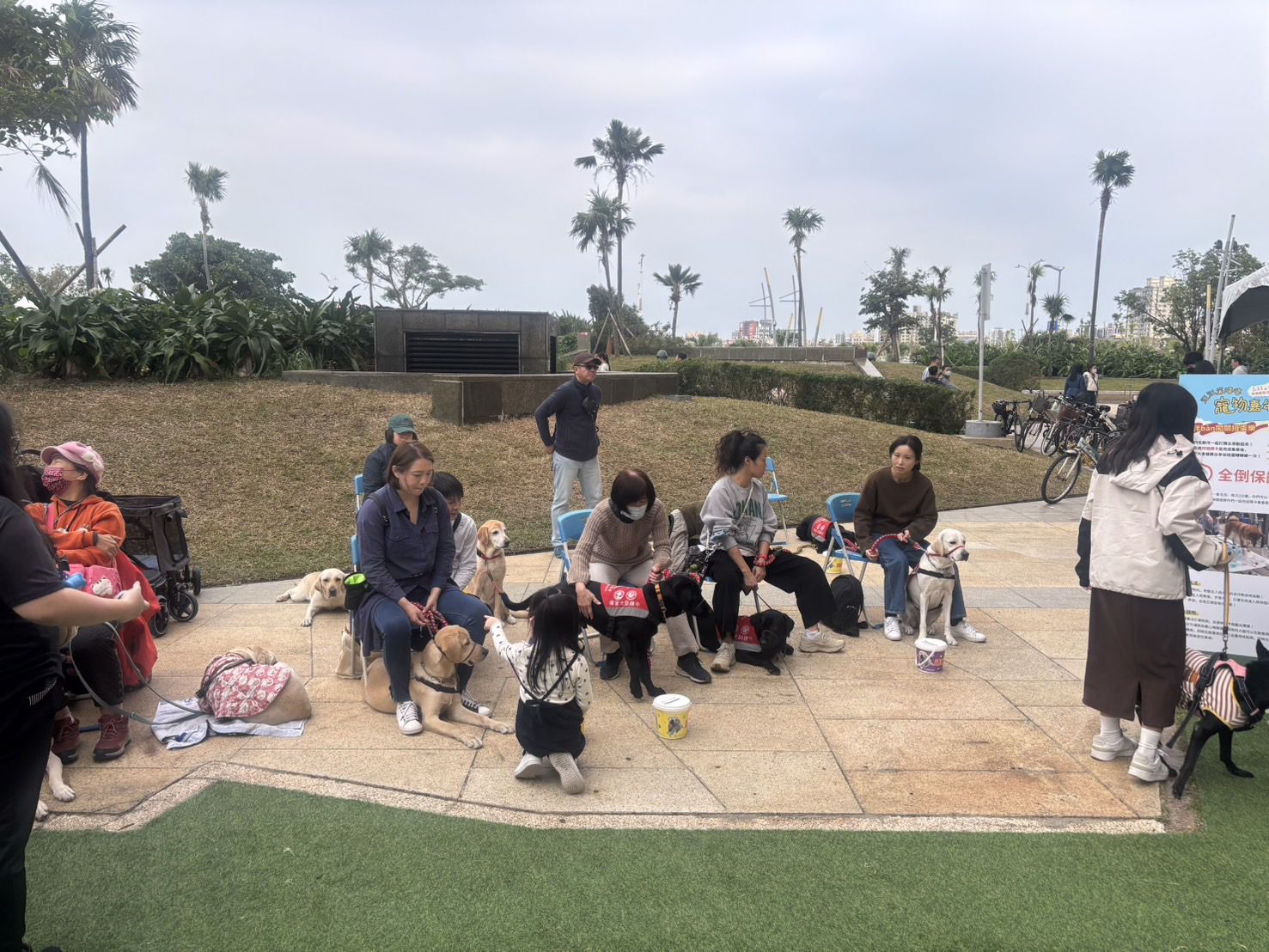 「汪汪笑嘻嘻寵物嘉年華」高雄夢時代歡樂登場 「汪汪笑嘻嘻寵物嘉年華」高雄夢時代歡樂登場