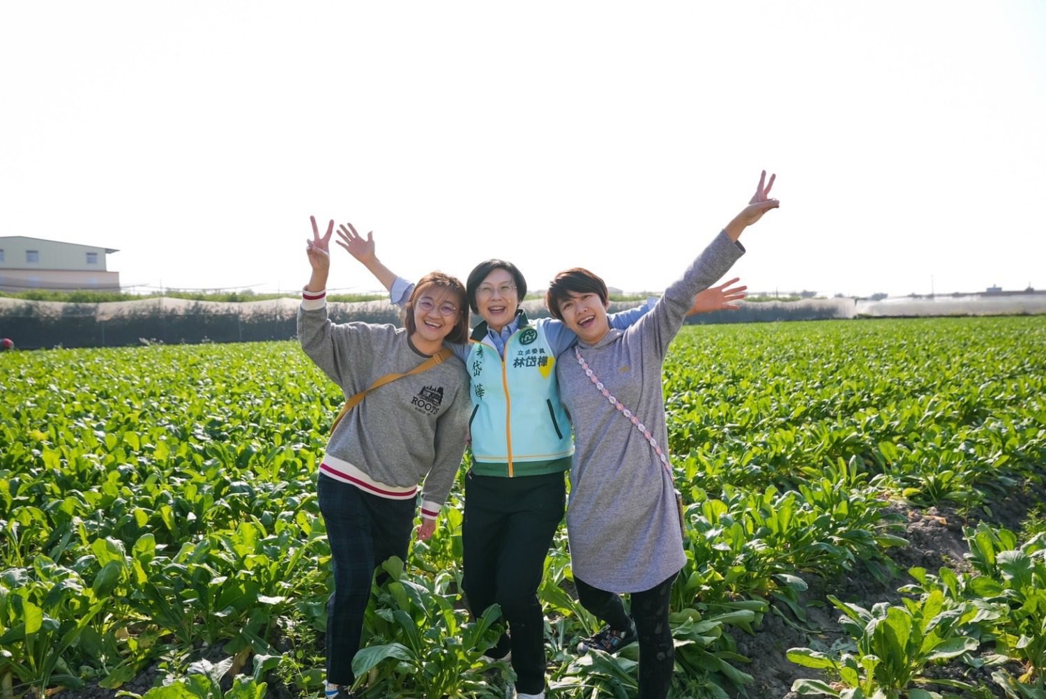 林岱樺前進美濃,掃市場、拔蘿蔔 里長與民眾熱情相挺 林岱樺前進美濃,掃市場、拔蘿蔔 里長與民眾熱情相挺