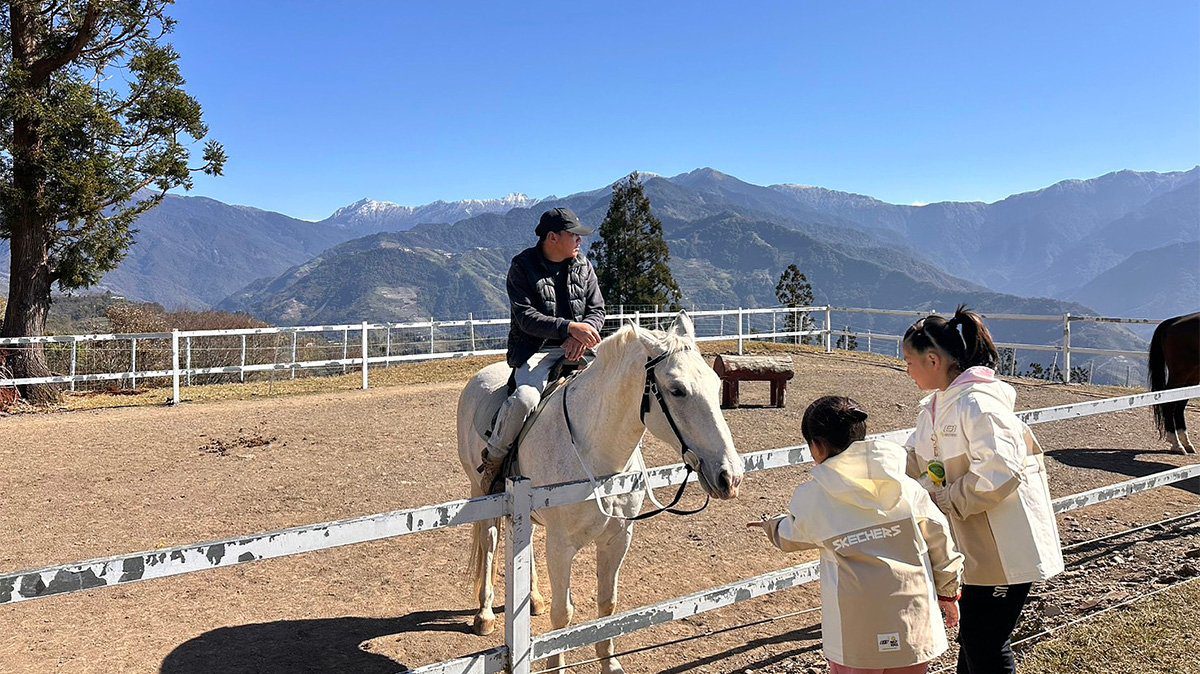 一次滿足三個願望 清境農場冬季美景大爆發 騎馬、賞雪、賞櫻花