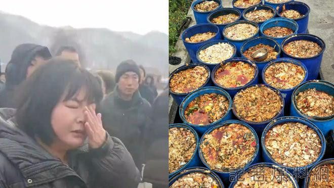 中國「狗啃過的食物」竟拿給學生吃！　遼寧校園食安醜聞引爆家長怒火