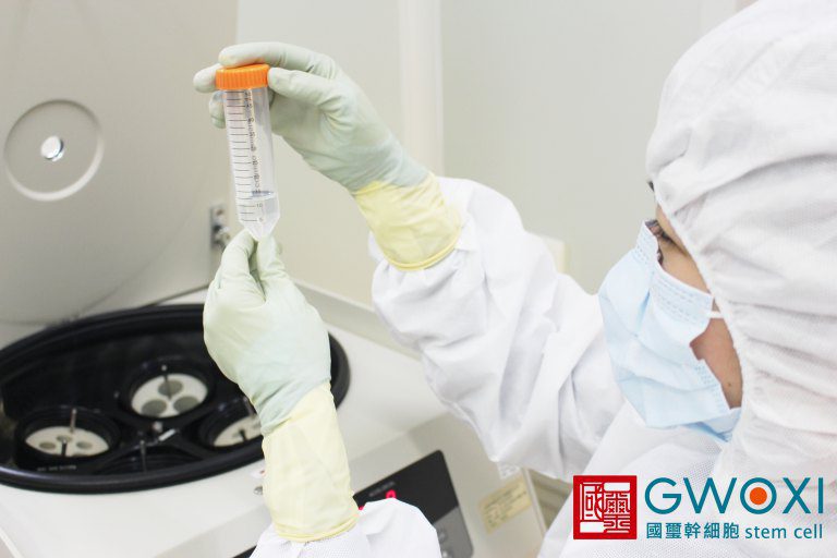 看準毛孩經濟　國璽加速投入寵物再生醫療市場