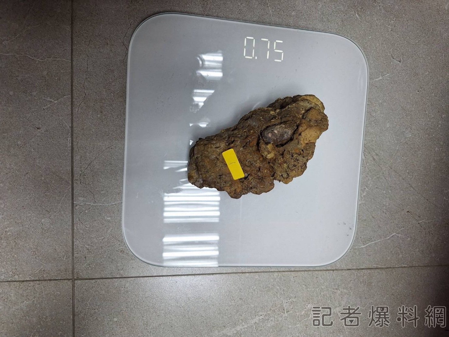 影/北投溪驚傳竊案！男子私闖保留區盜採北投石 警方3小時內緝獲