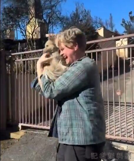 加州洛杉磯野火肆虐！愛犬失聯五天奇蹟生還 重逢畫面溫馨感人