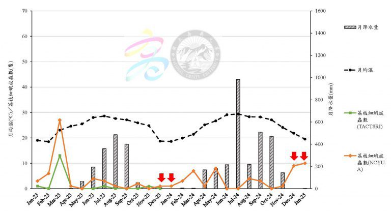 荔枝「蒂頭蟲」變多了 高雄農友請注意加強枝條下方、枯枝及落葉處用藥 荔枝「蒂頭蟲」變多了 高雄農友請注意加強枝條下方、枯枝及落葉處用藥