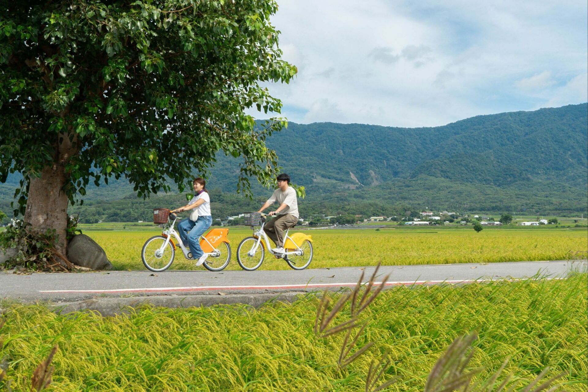 大陸赴臺旅遊不能走回頭路! 臺東縣長饒慶鈴:深度旅遊,兩夜起跳才能感受臺東多元魅力 大陸赴臺旅遊不能走回頭路! 臺東縣長饒慶鈴:深度旅遊,兩夜起跳才能感受臺東多元魅力