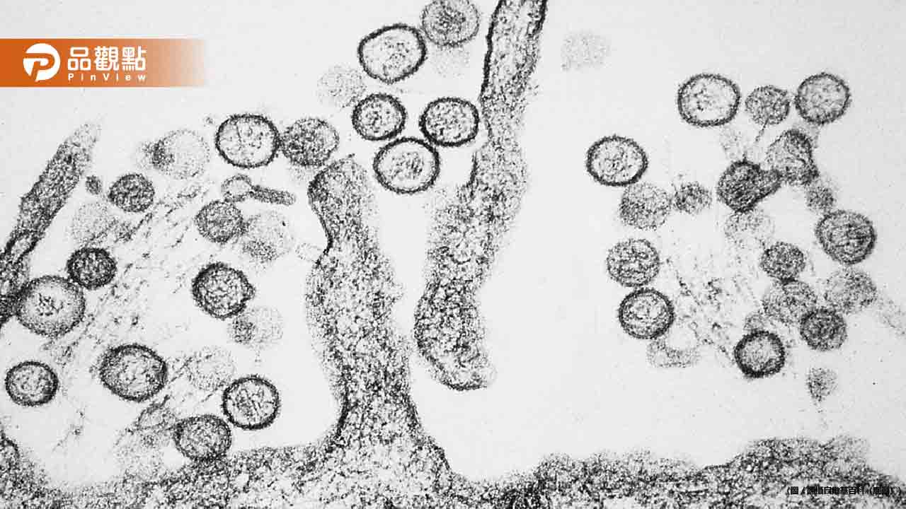 台北市爆「漢他病毒病例」！50歲婦人市場工作疑遭鼠感染