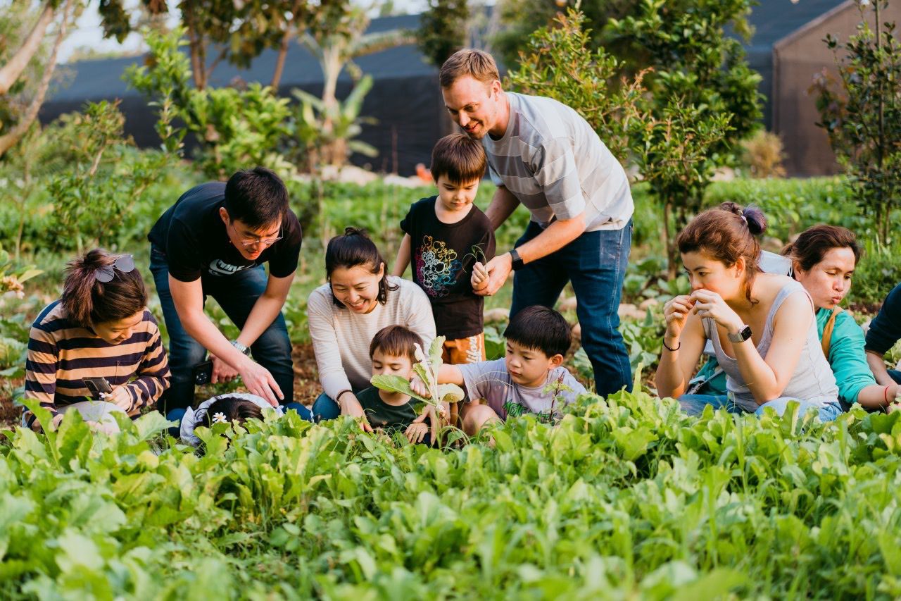 金蛇獻瑞除舊歲、蛇來運轉走春趣　桃竹苗分署推薦3間多元培力單位歡迎走春迎接乙巳新年