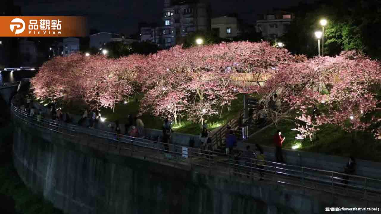 把握花期！今年內湖賞櫻花還有「迪士尼公主」可拍