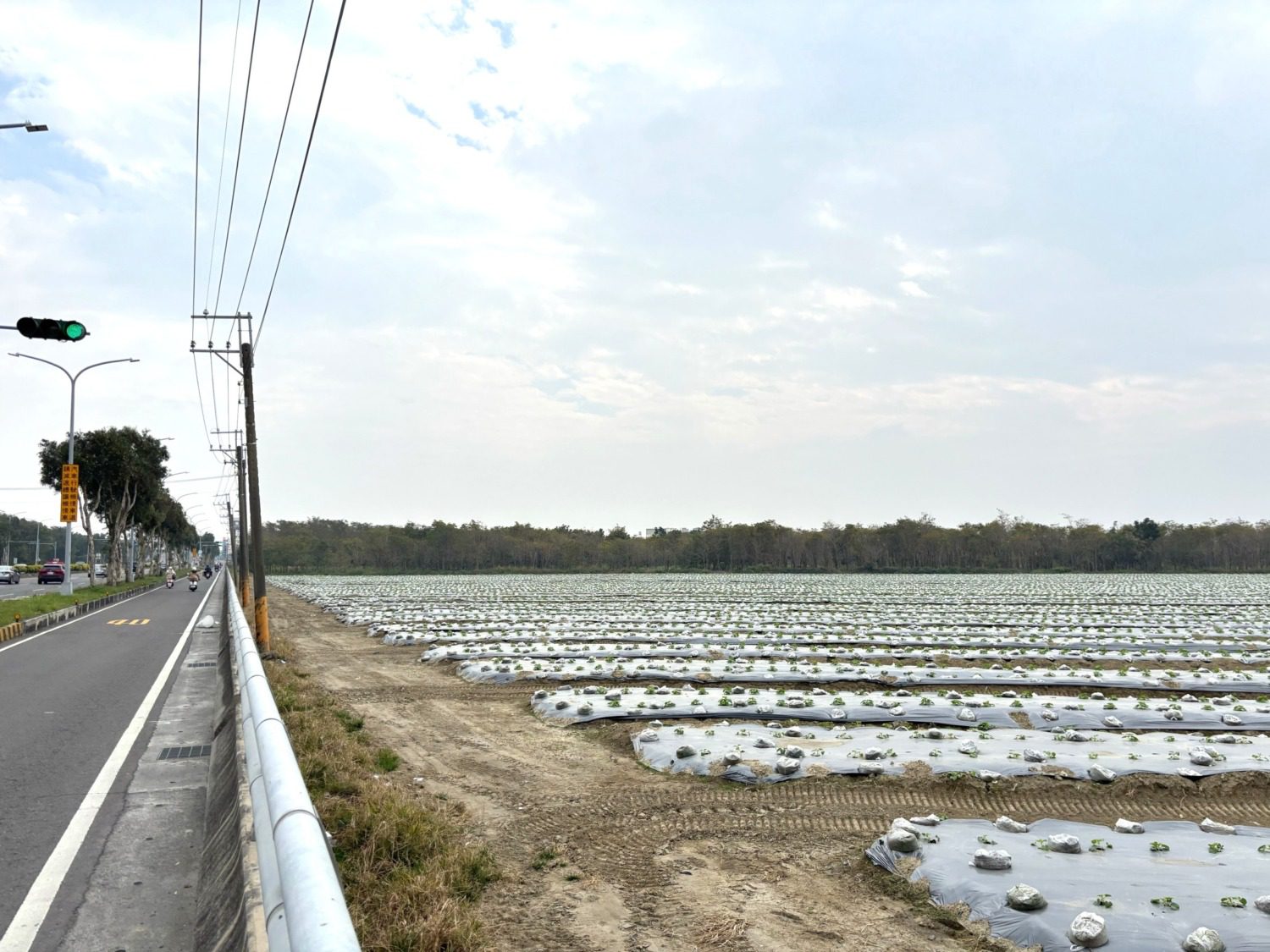 邱志偉:歡迎台積電進駐白埔產業園區 邱志偉:歡迎台積電進駐白埔產業園區