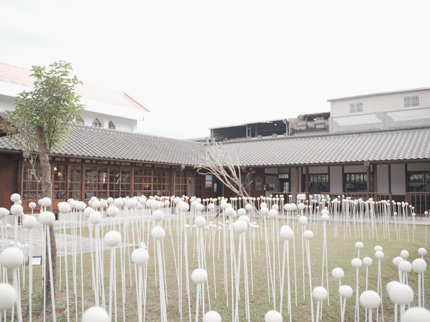 龜心山城藝術祭照亮六龜! 邀旅人新春徜徉藝術,暢遊山城回「龜」初心 龜心山城藝術祭照亮六龜! 邀旅人新春徜徉藝術,暢遊山城回「龜」初心