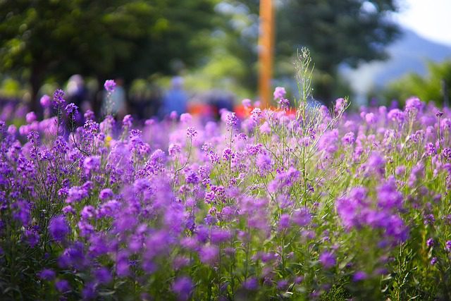 初一初二「走財位」迎財神,一年好運從此開啟! 初一初二「走財位」迎財神,一年好運從此開啟!