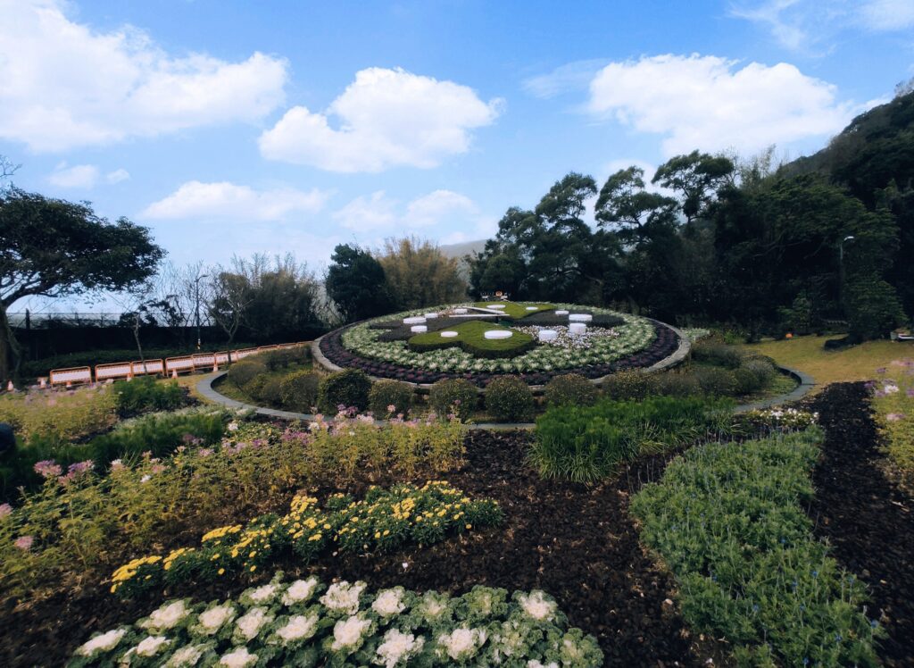 2025陽明山花季盛大登場！櫻花美景結合童話場景 打造夢幻賞花之旅