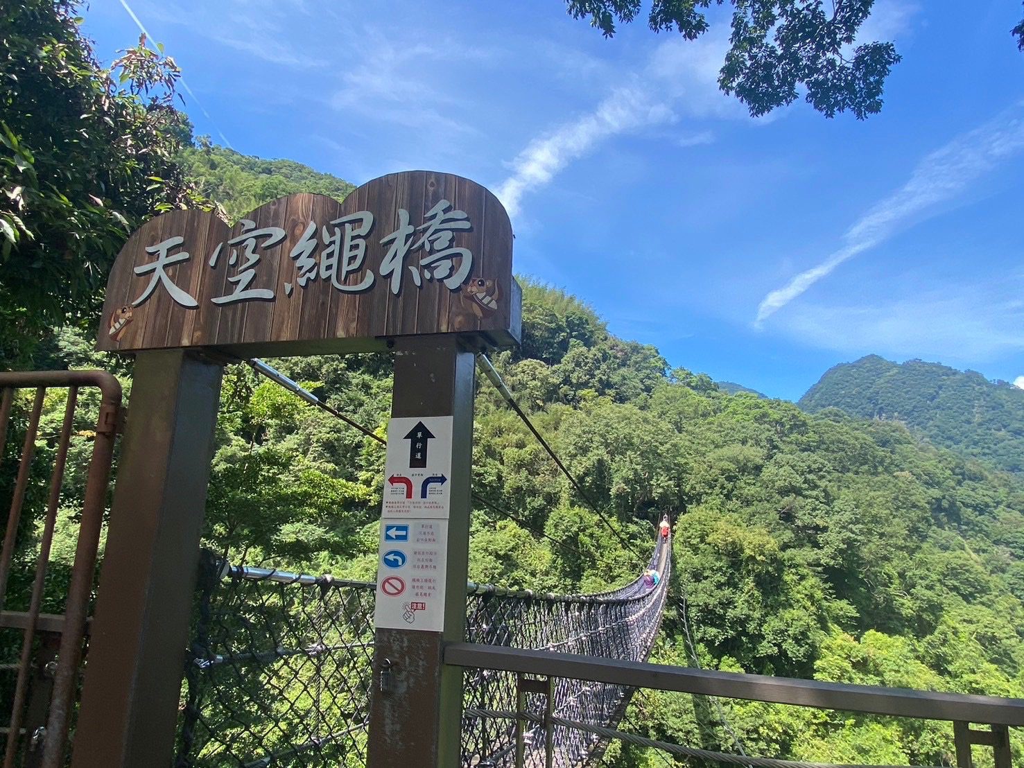 春節玩轉北橫!桃園大溪復興賞花踏青美景一網打盡 春節玩轉北橫!桃園大溪復興賞花踏青美景一網打盡