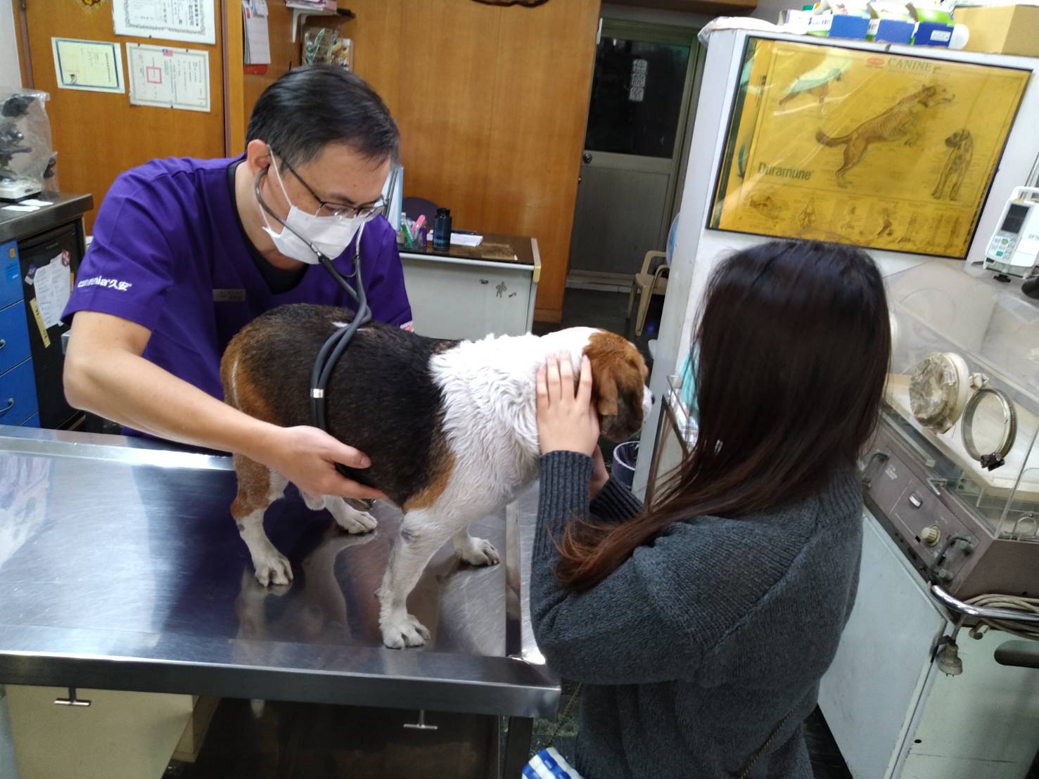 過年期間  毛小孩生病了怎麼辦? 高雄春節動物就醫資訊看這裡 過年期間  毛小孩生病了怎麼辦? 高雄春節動物就醫資訊看這裡