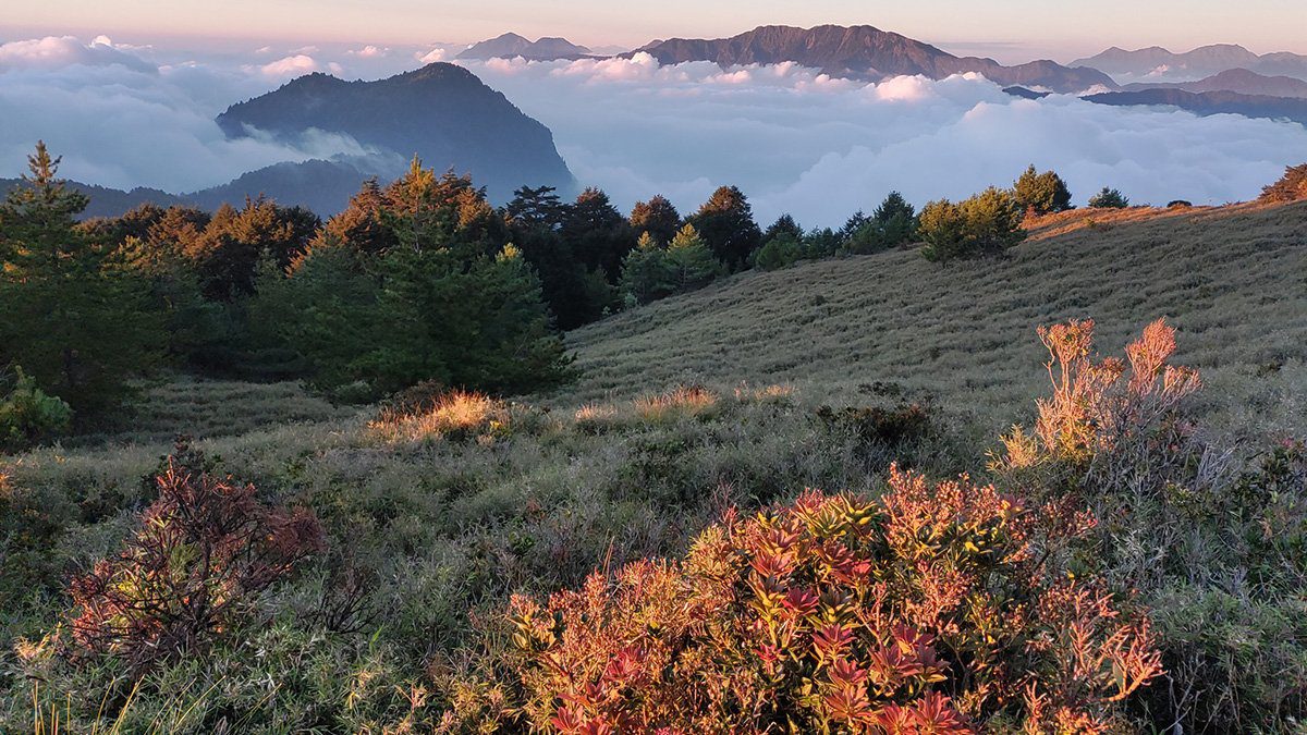 玉山國家公園攜手地方企業 推動綠色旅遊與永續發展 玉山國家公園攜手地方企業 推動綠色旅遊與永續發展