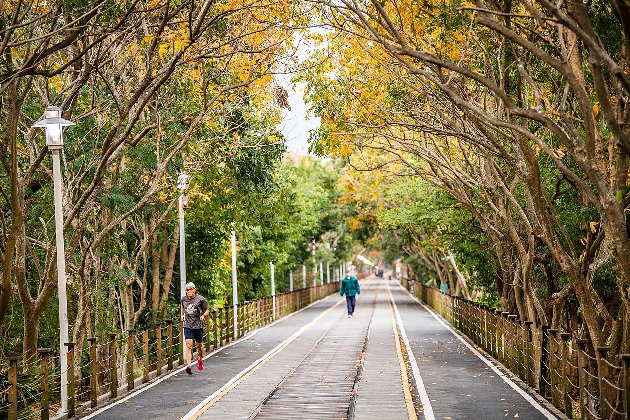 春節嘉市親子遊 限定美景相伴迎新年 春節嘉市親子遊 限定美景相伴迎新年