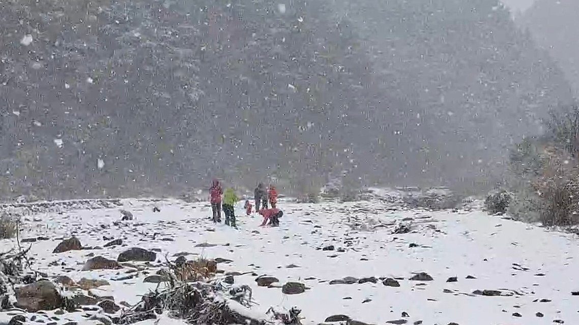 銀白童話降臨武陵農場！雪山飄雪美景引爆追雪熱潮