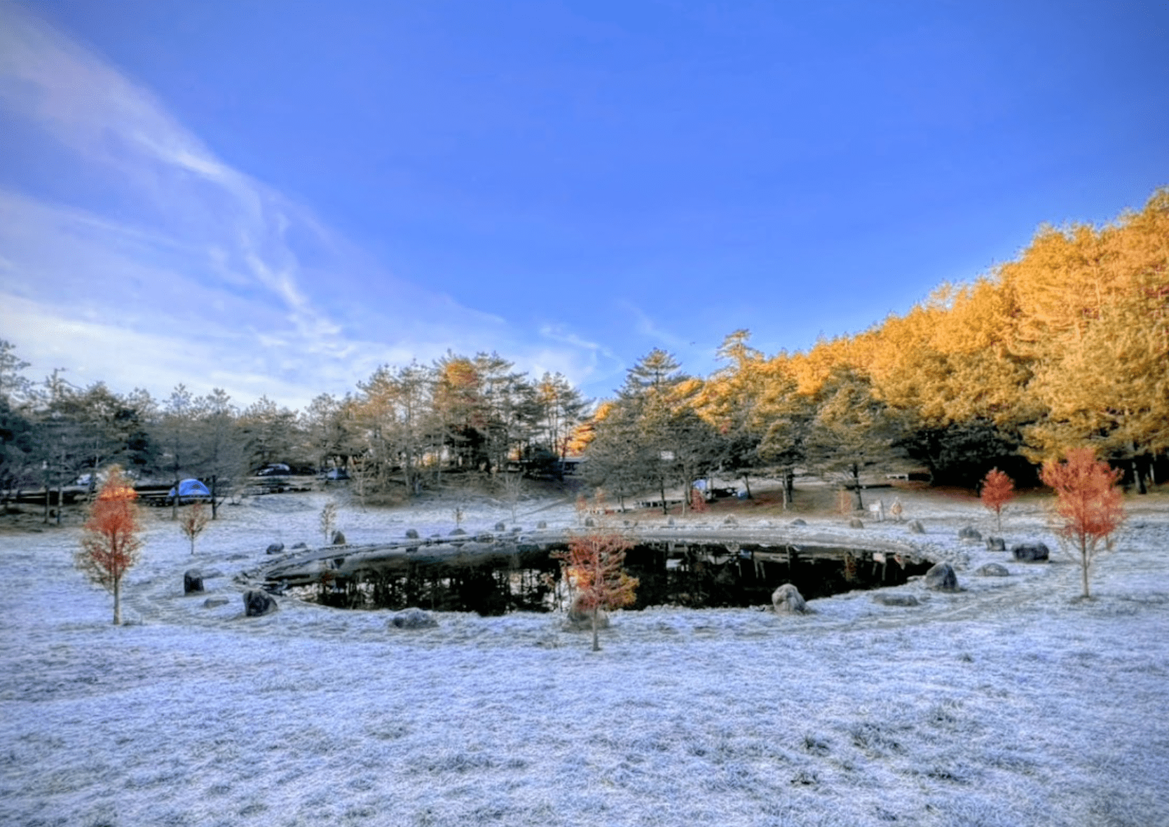 寒流襲台！福壽山農場現絕美冰湖奇景 梅花櫻花綻放
