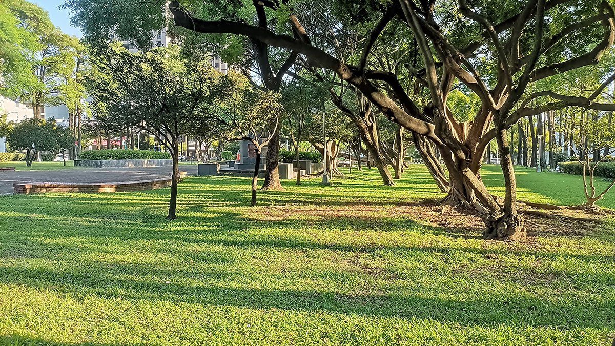 春節踏青好去處! 台中市精選特色公園迎新春 春節踏青好去處! 台中市精選特色公園迎新春